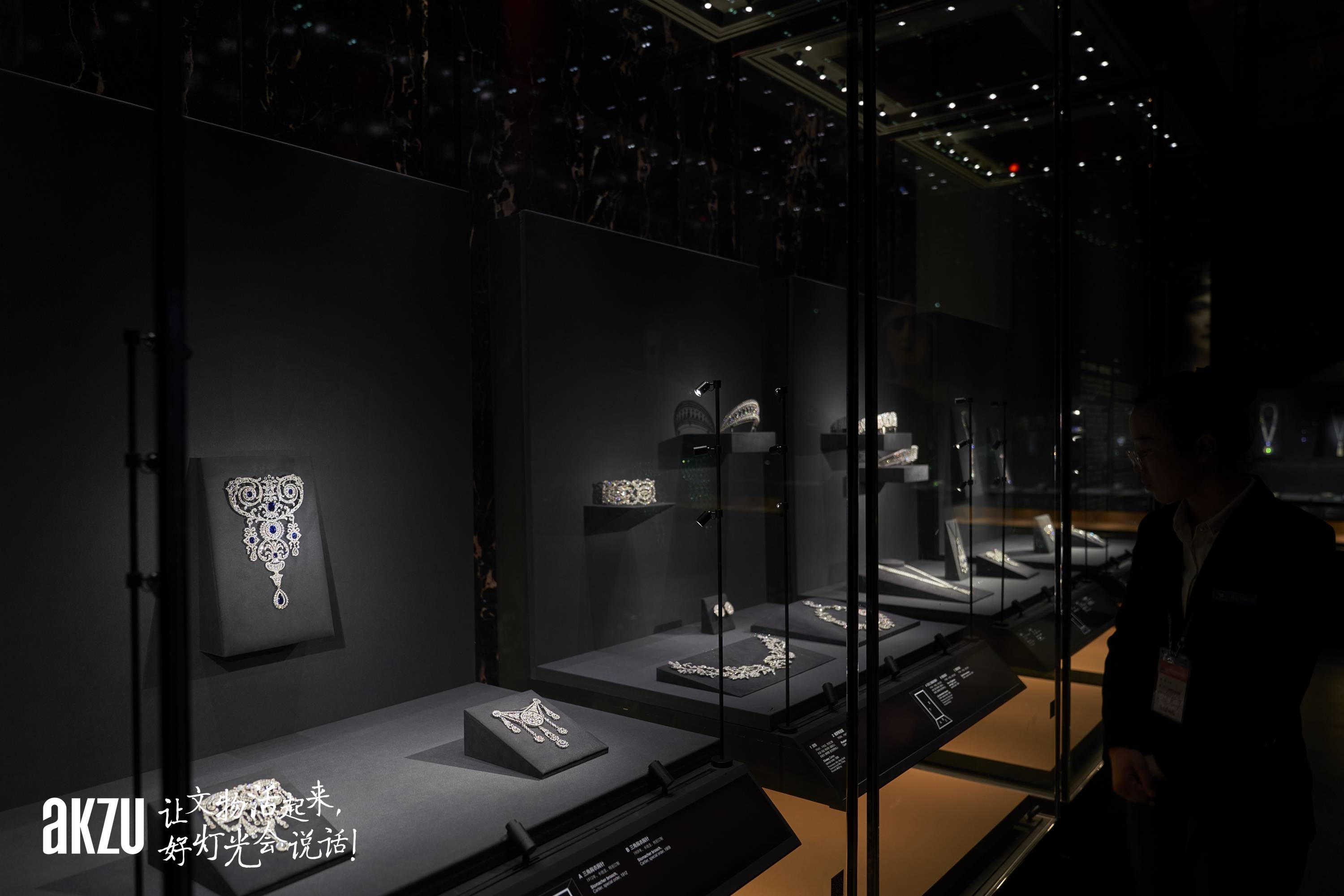 博物馆照明之故宫博物院:埃克苏见证卡地亚与故宫"有界之外"特展