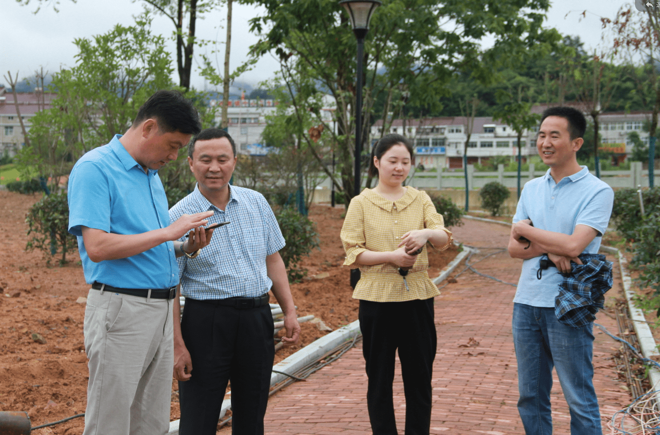 舒城县委常委,政法委书记曹良喜到河棚镇督导河长制工作