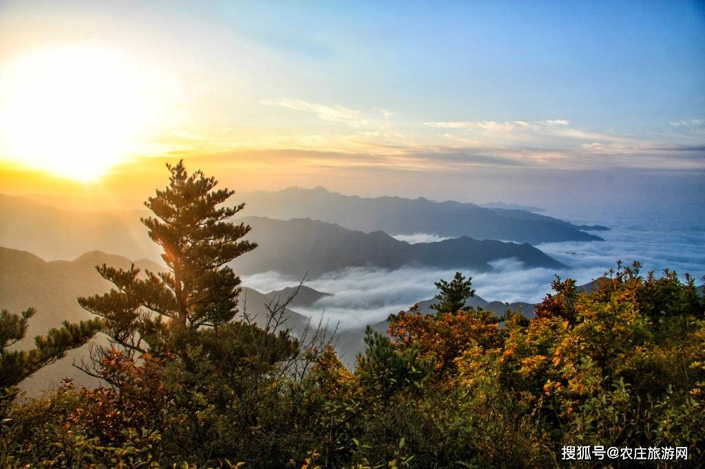 大美秦岭:云海日出 望之如画