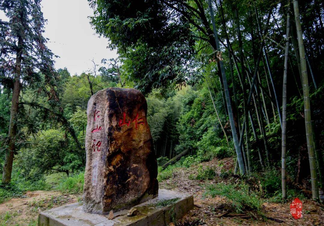 木兰溪源头的一株灵芝仙草歌曲木兰好源头横空出世