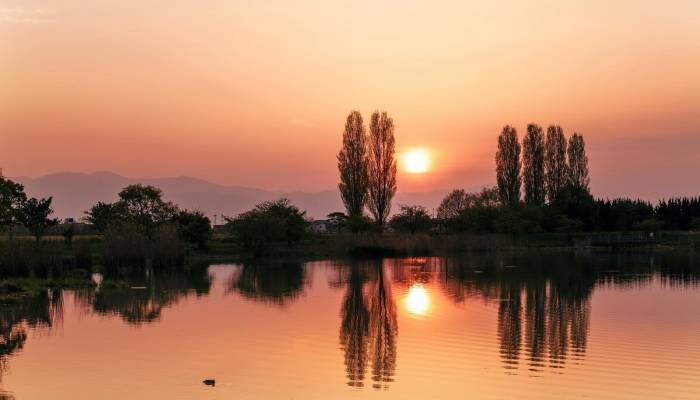 从美的集团618的八连冠,看家电业数智化转型的体验破圈-家电圈官网