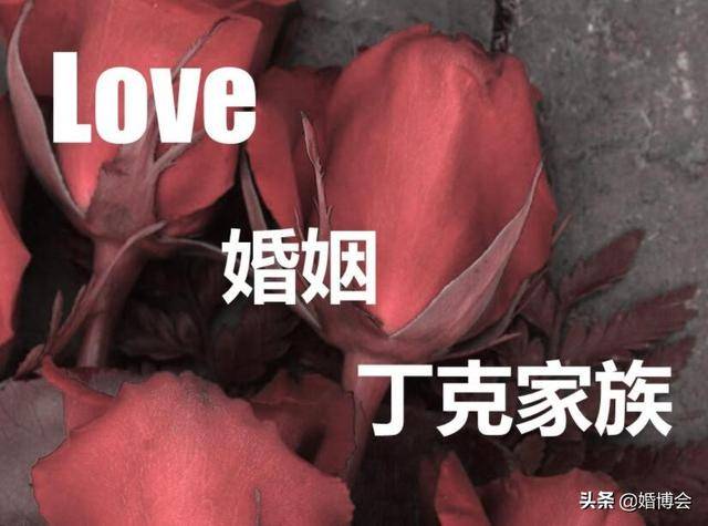 丁克什么意思,丁克一族都是活明白了-团团金服