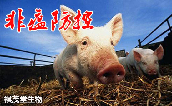 非洲猪瘟病毒防控七字箴言,中兽药黄芪多糖让猪场防控非瘟,加快复产不