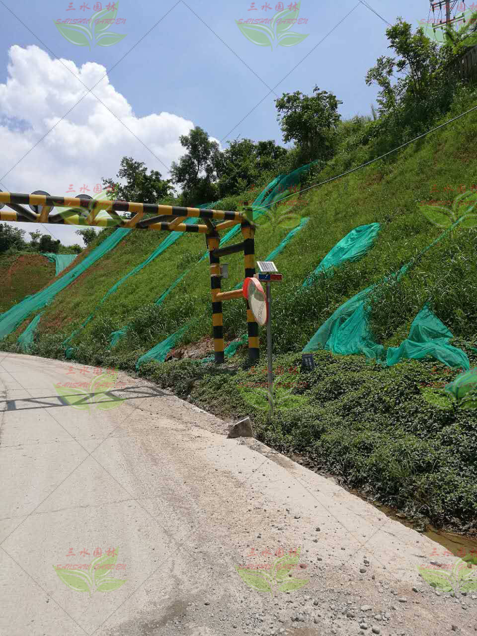 上饶低成本的边坡草籽复绿方法