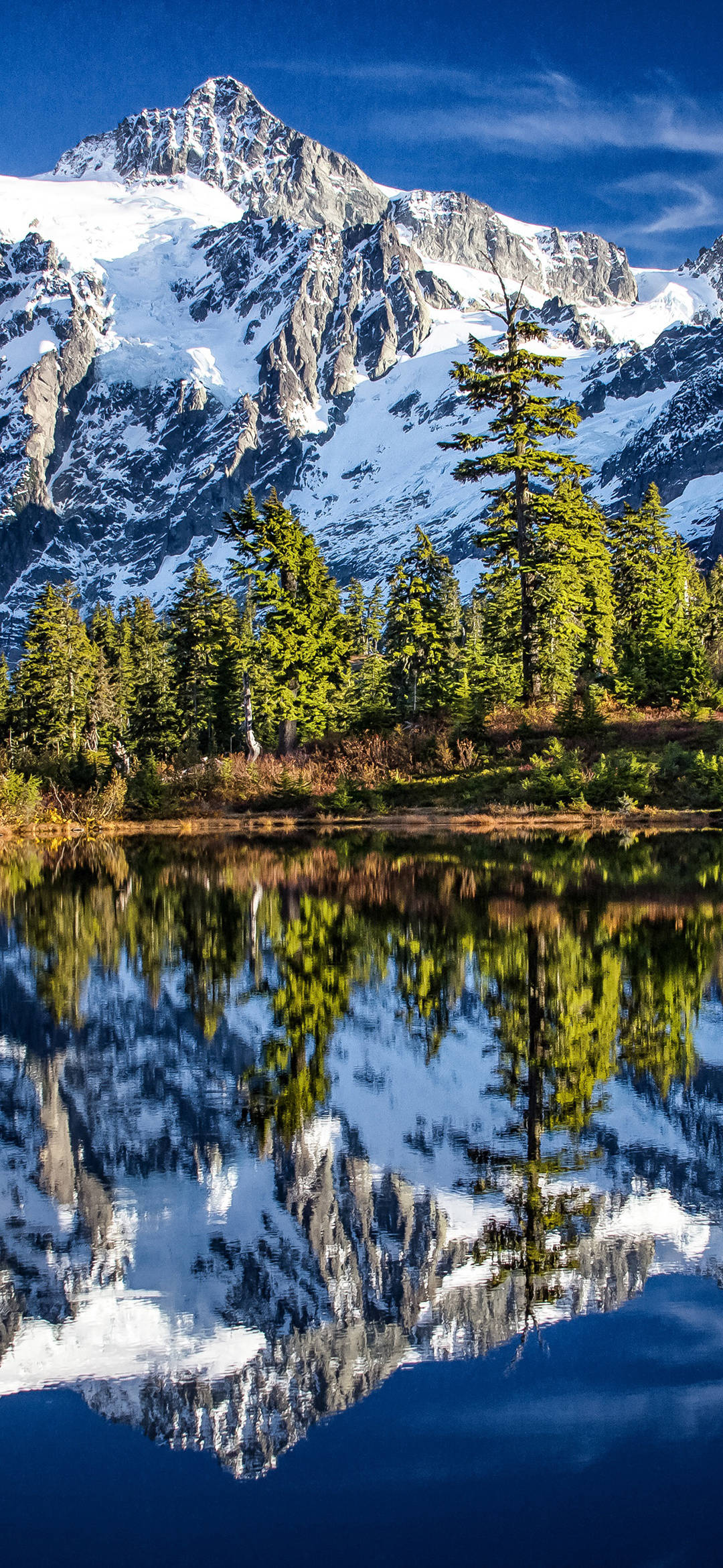 1080_2340竖版 竖屏