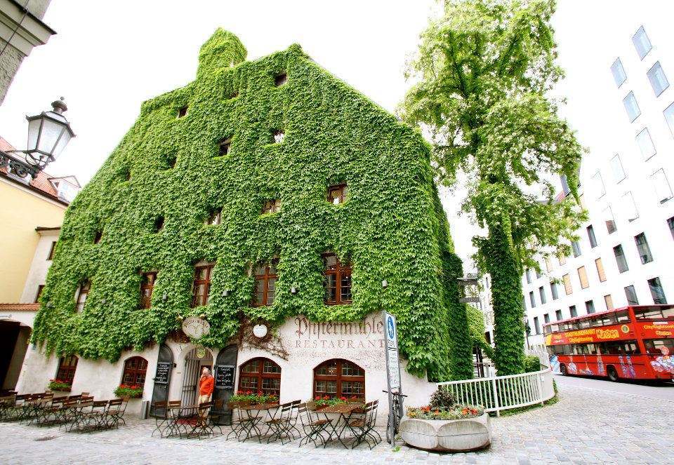 【集一建筑】那些被植物爬满的建筑,有生命的建筑,本该如此!