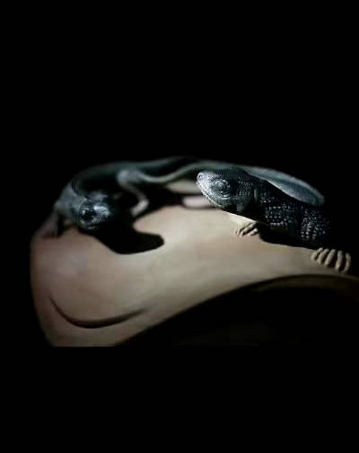 玉雕大师——杨树森