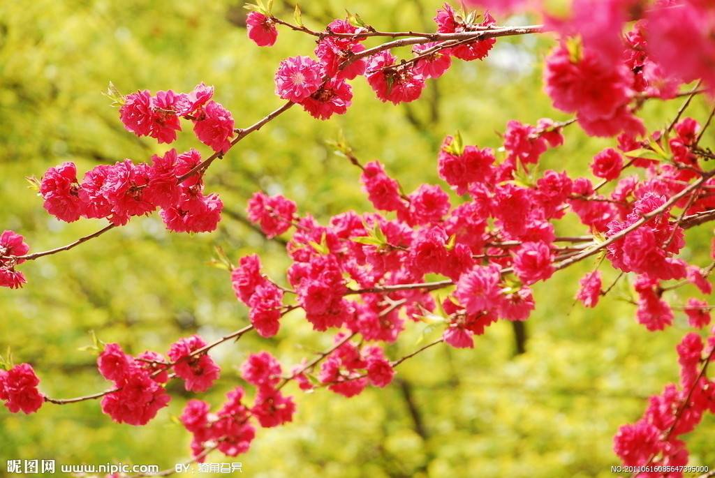 中国传统文化儒家伦理与风水