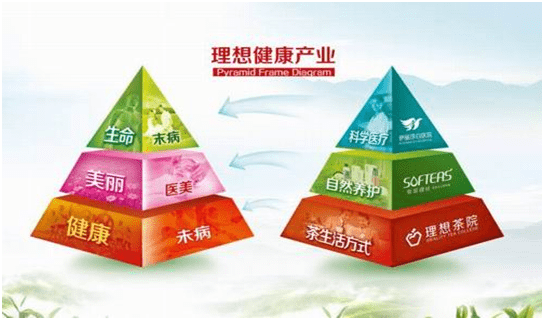 云南理想大健康产业矩阵(来自:理想科技集团官网)