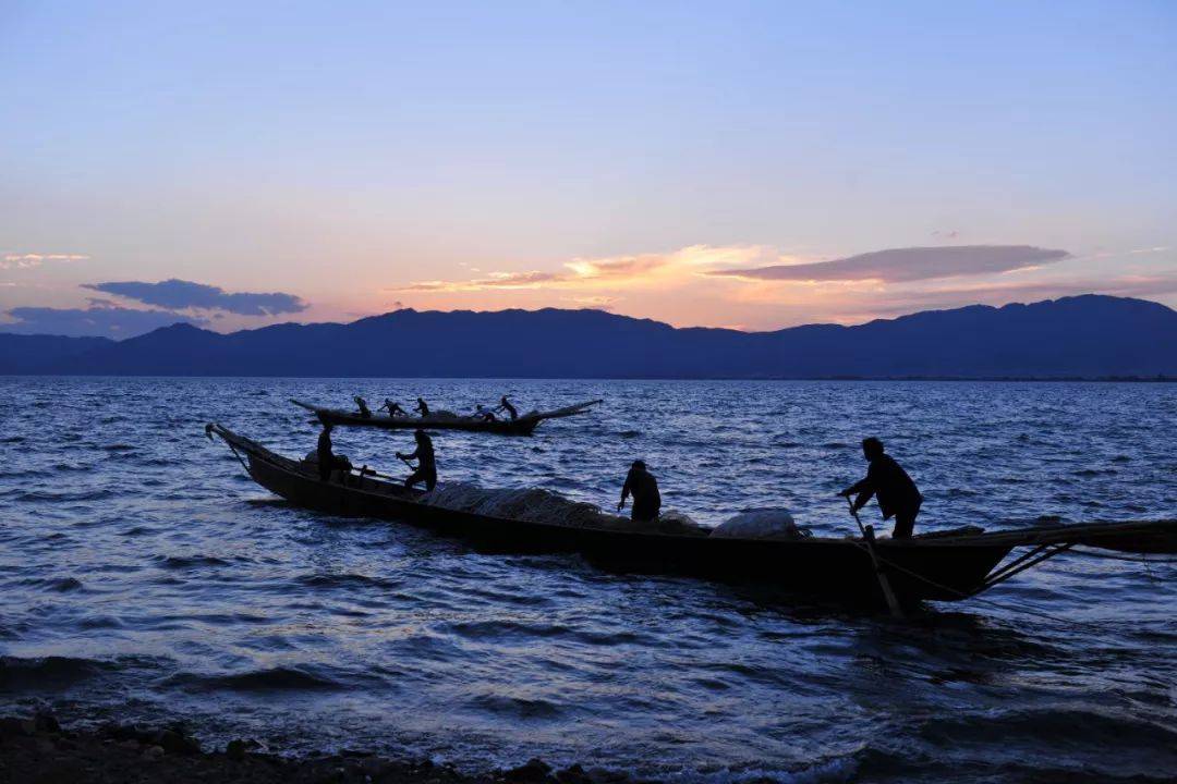 提前两个月!抚仙湖7月1日起开湖捕鱼,吃货们有福啦
