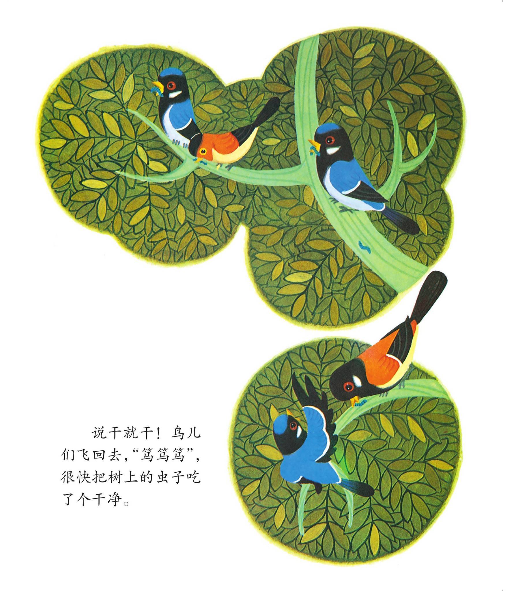 儿童绘本故事推荐《鸟邻居》