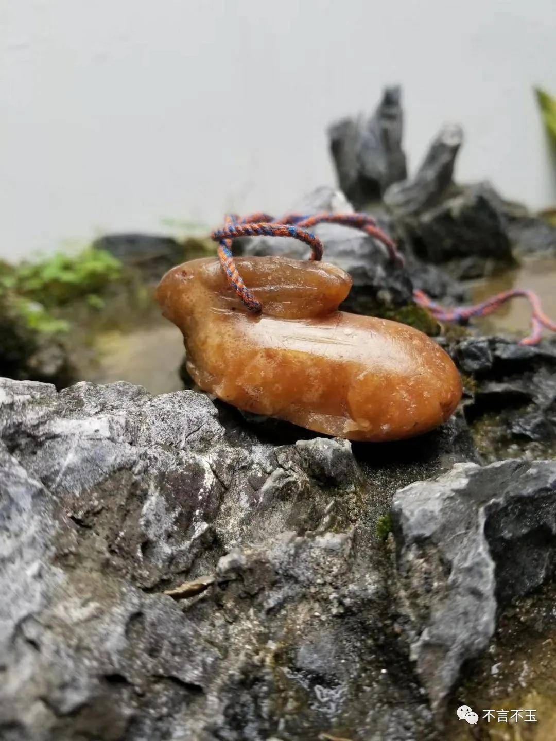 杨念慈:《爱情论》01