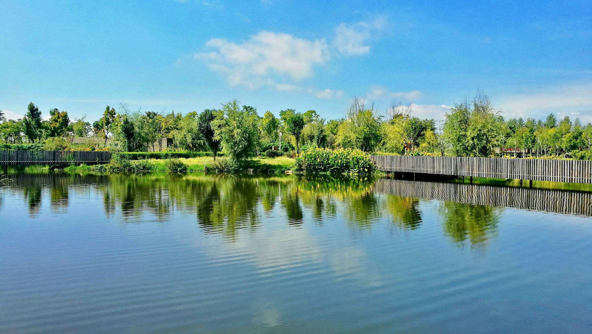 旅居·昆明:在昆明,去逛逛一下三个湿地公园的美景_滇池