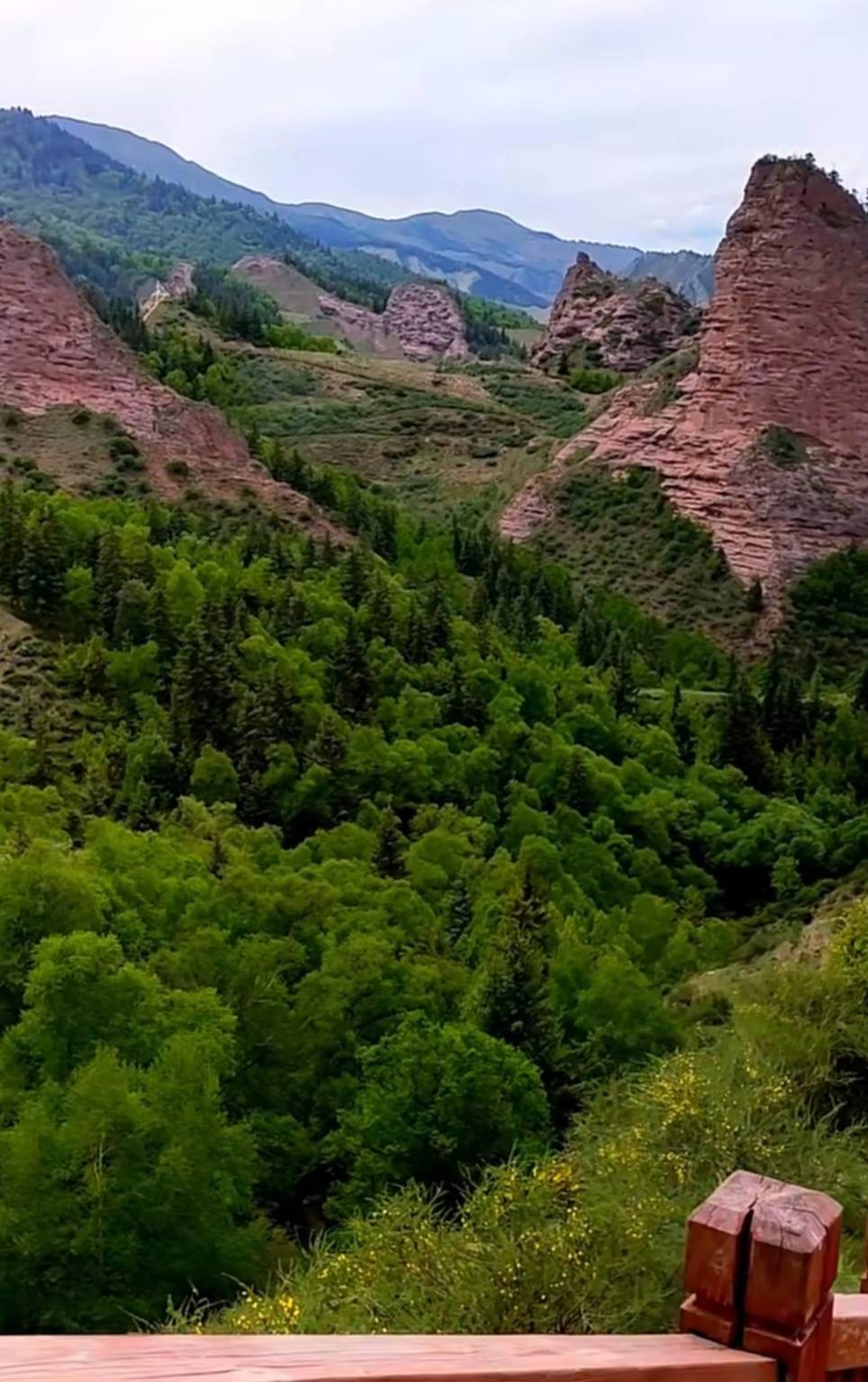 新生界沉積環境和沉積構造類型以及3800萬年以來的地質生態環境鴉化