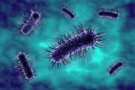 细菌也分好坏!千万别把它们全杀死!