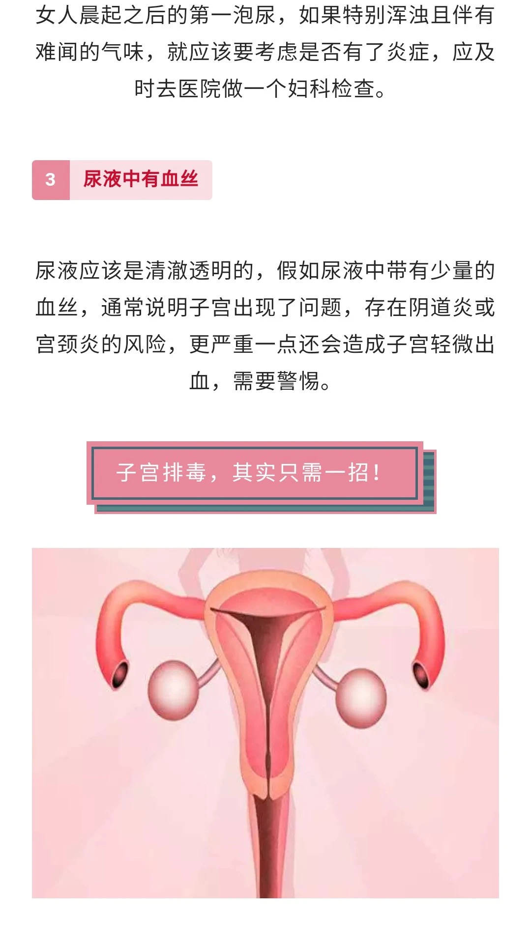 子宫是女人的垃圾场排毒只需它就够了