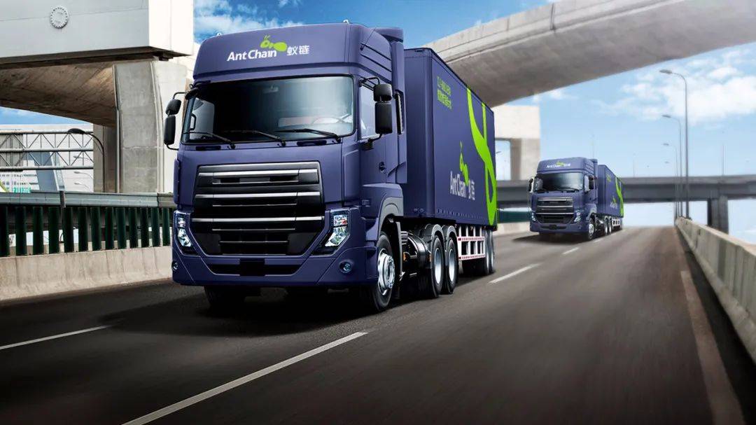 蚁链品牌全案展示