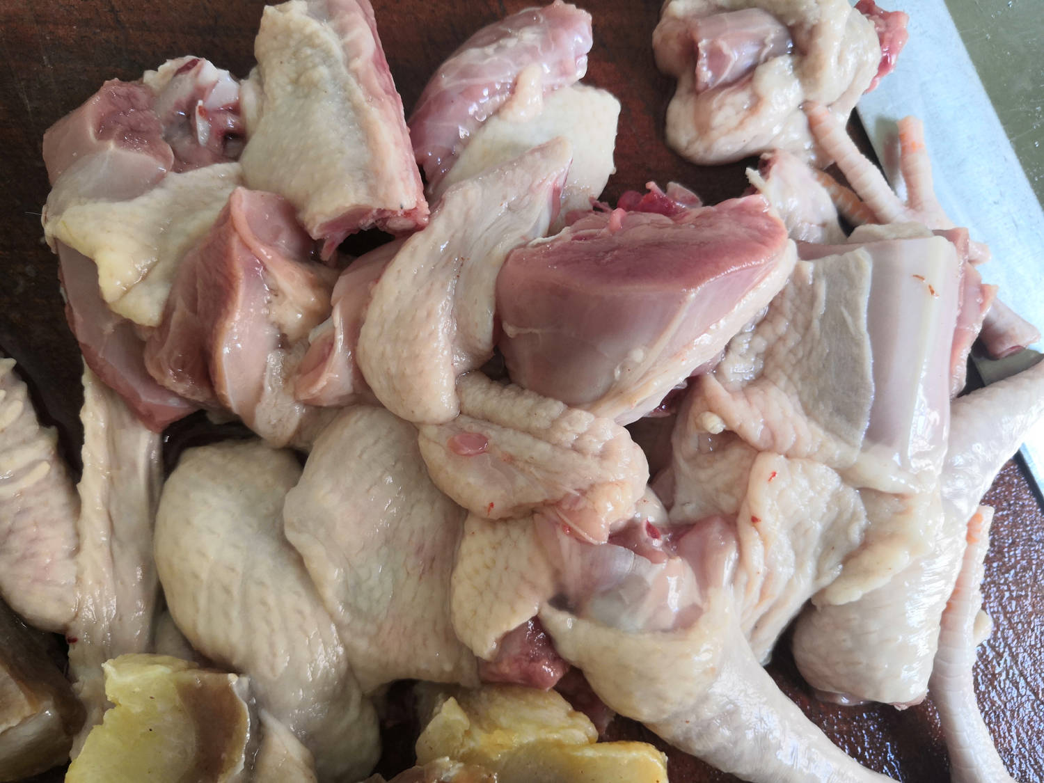 鸽子既是名贵的美味佳肴又是高级滋补佳品这样炖出来的鸽子汤营养胜过