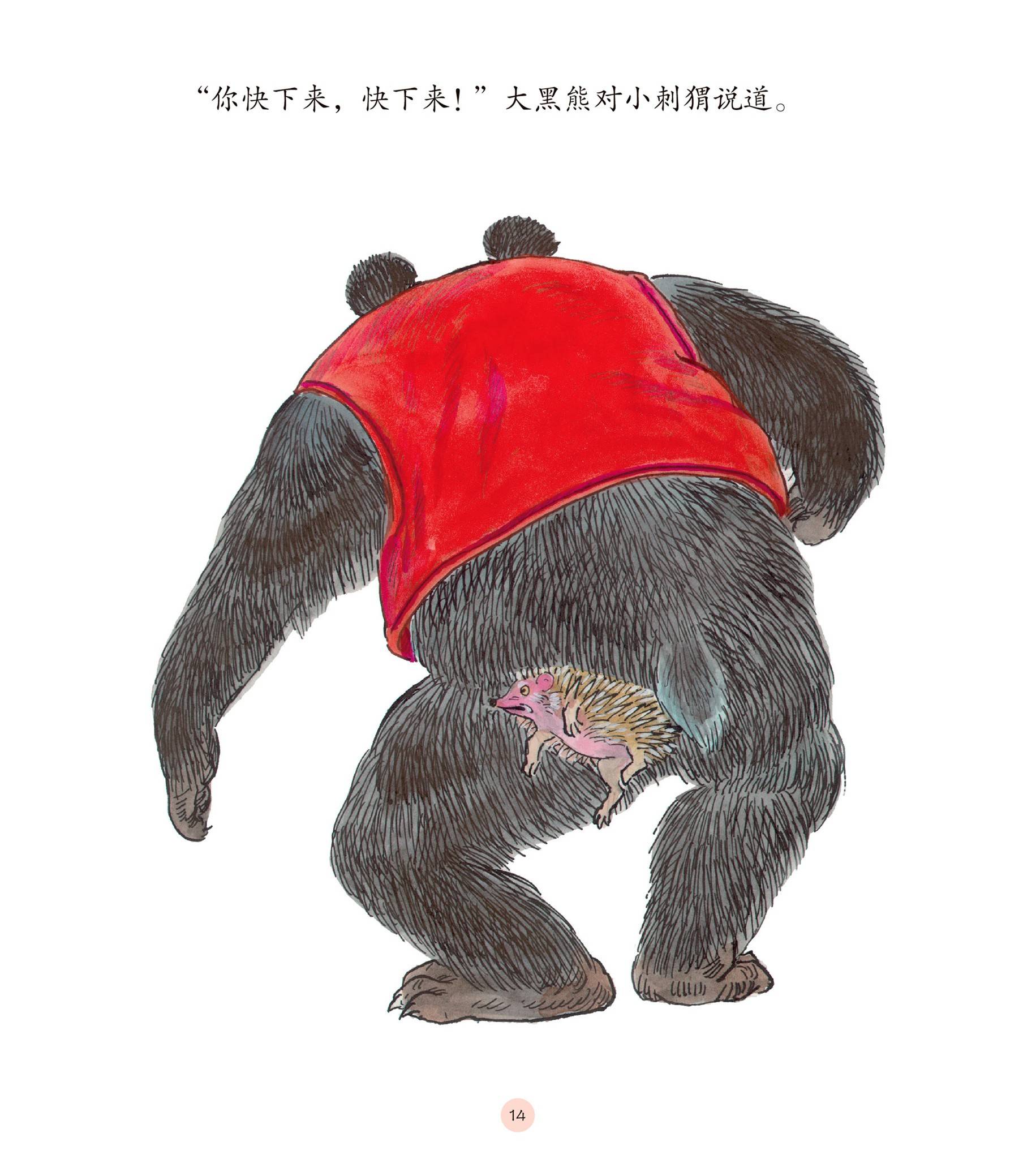 儿童绘本故事推荐《大黑熊和小刺猬》