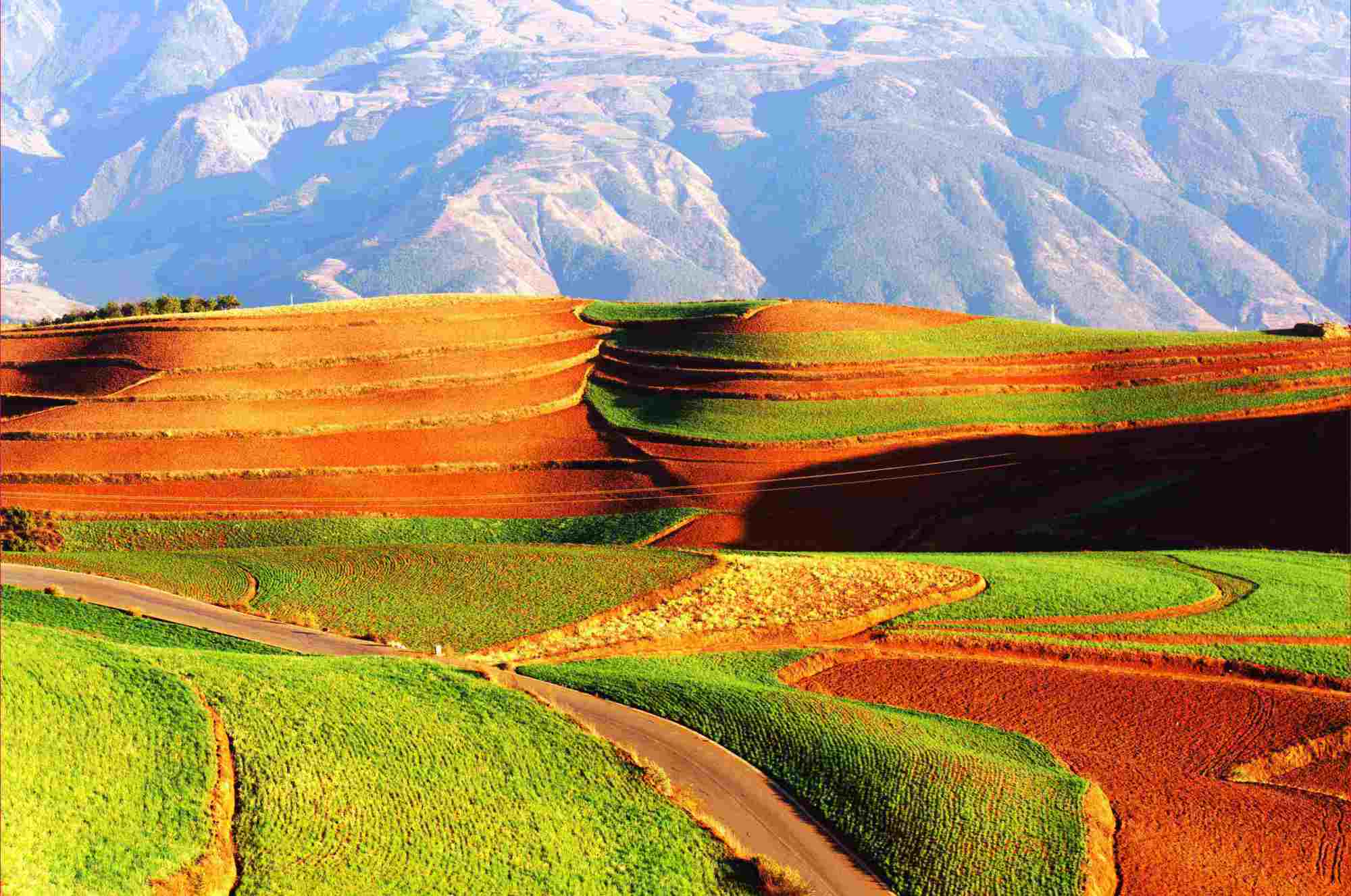 中国最美的红土地,若玩颜色,无人能赢过自然_土壤