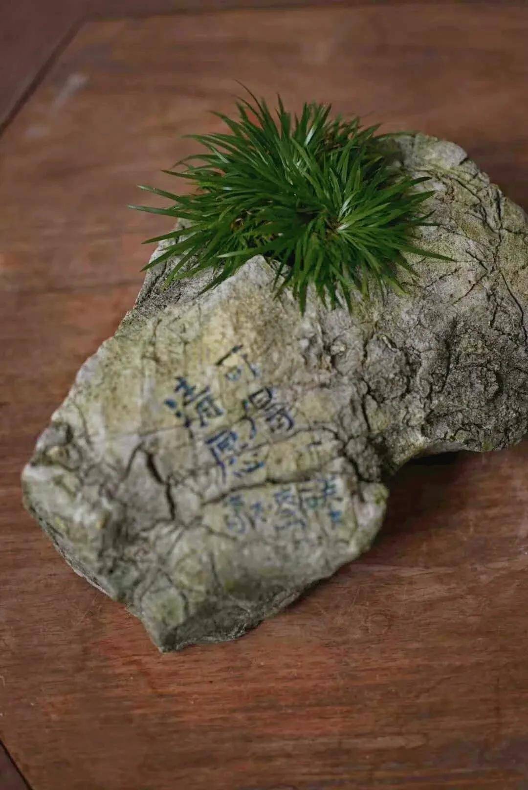 首次开讲王大蒙菖蒲研修班成为全国研究学习菖蒲文化的高地