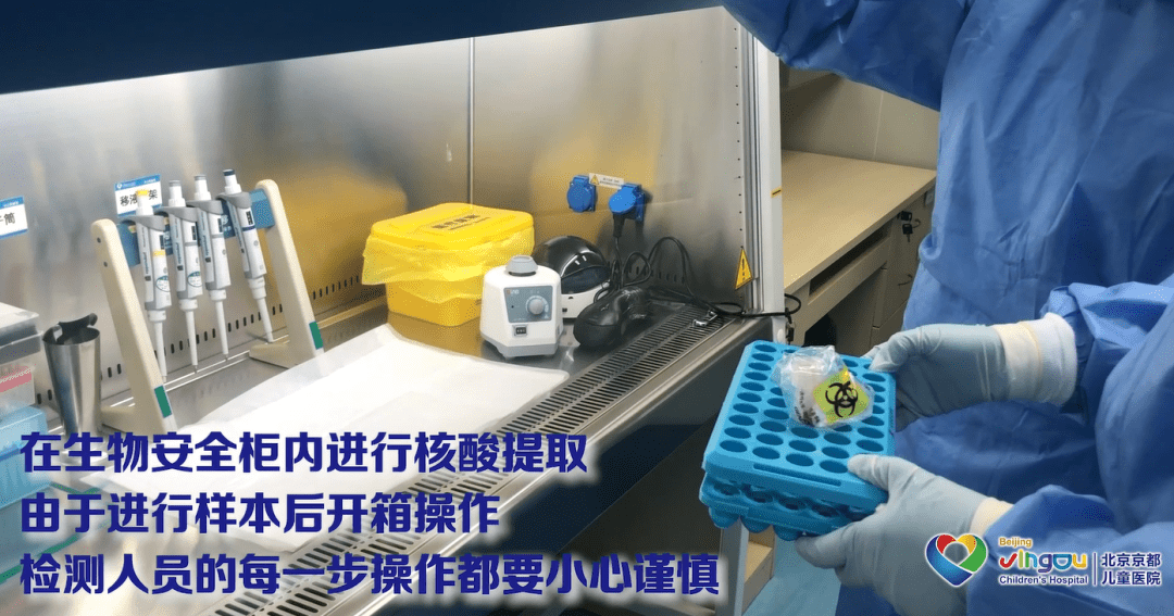 你知道一份份核酸检测报告单是怎么出来的吗?