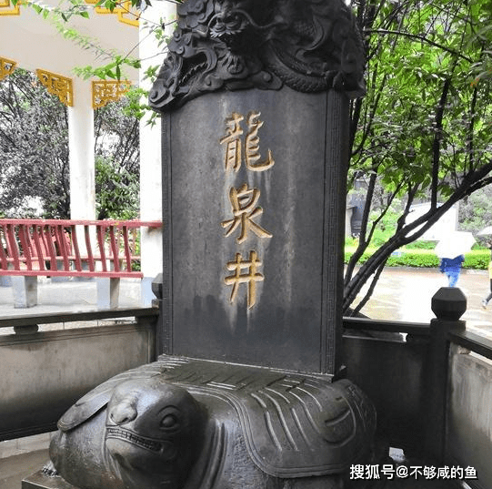 中国第一窖泸州老窖龙泉桥下假如不收费会是怎么样的情况