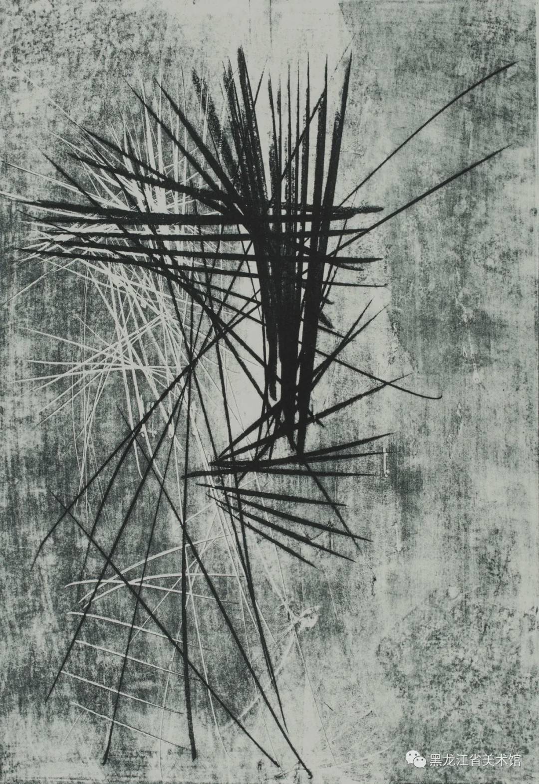 "一线相连——黑龙江省美术馆藏汉斯·哈同艺术作品展"开展