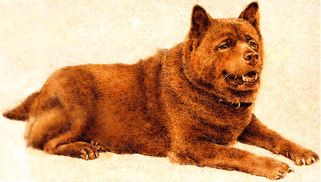 原创"大音希声 大象无形"——黄仲谋的烙画之美