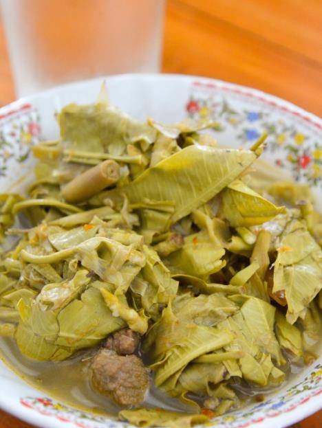 荒野维生野菜系列酸尖菜