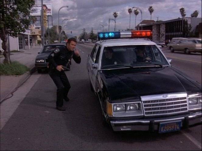 珍贵的历史记忆:八十年代时尚时髦的美国