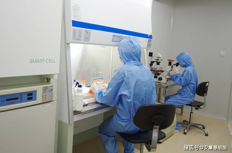 免疫细胞存储7细胞存储选安库安库生命银行是上海市重点技术改造项目
