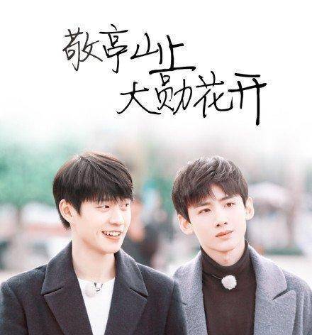 娱乐圈真正的朋友:山花,迅露,朱一龙白宇等_白敬亭