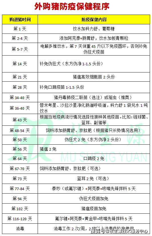 1/ 12 后备母猪防疫保健程序 自繁自养防疫保健程序 外购猪防疫保健