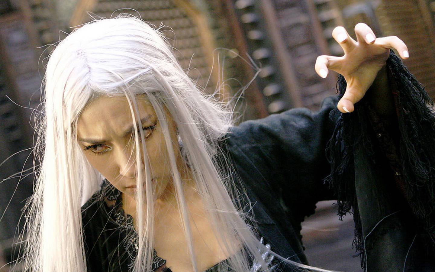 美女明星李冰冰的图集003