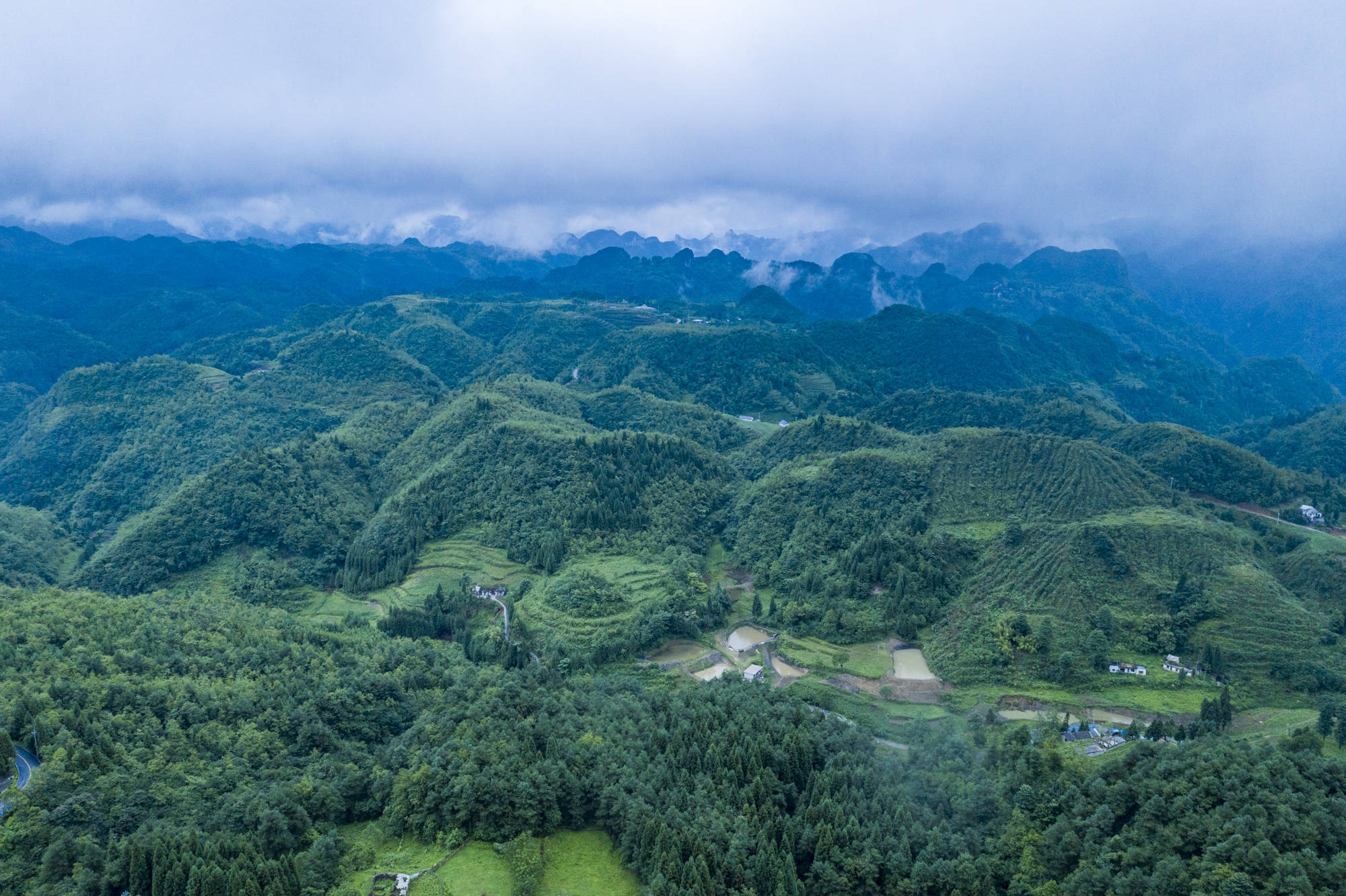 原创贵州大山有位"煤老板,耗时11年投资2亿元,荒山变身万亩茶园