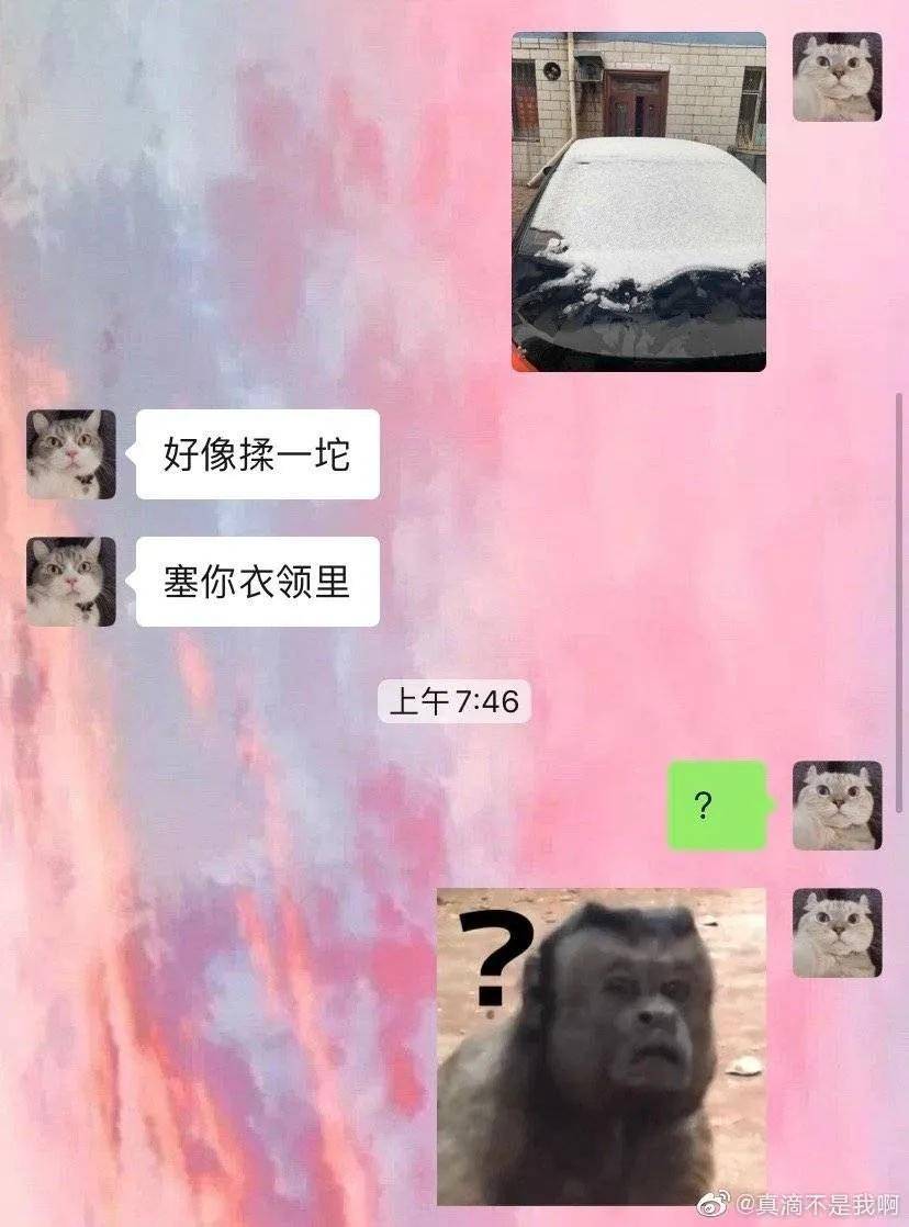 当代钢铁直男聊天艺术行为大赏