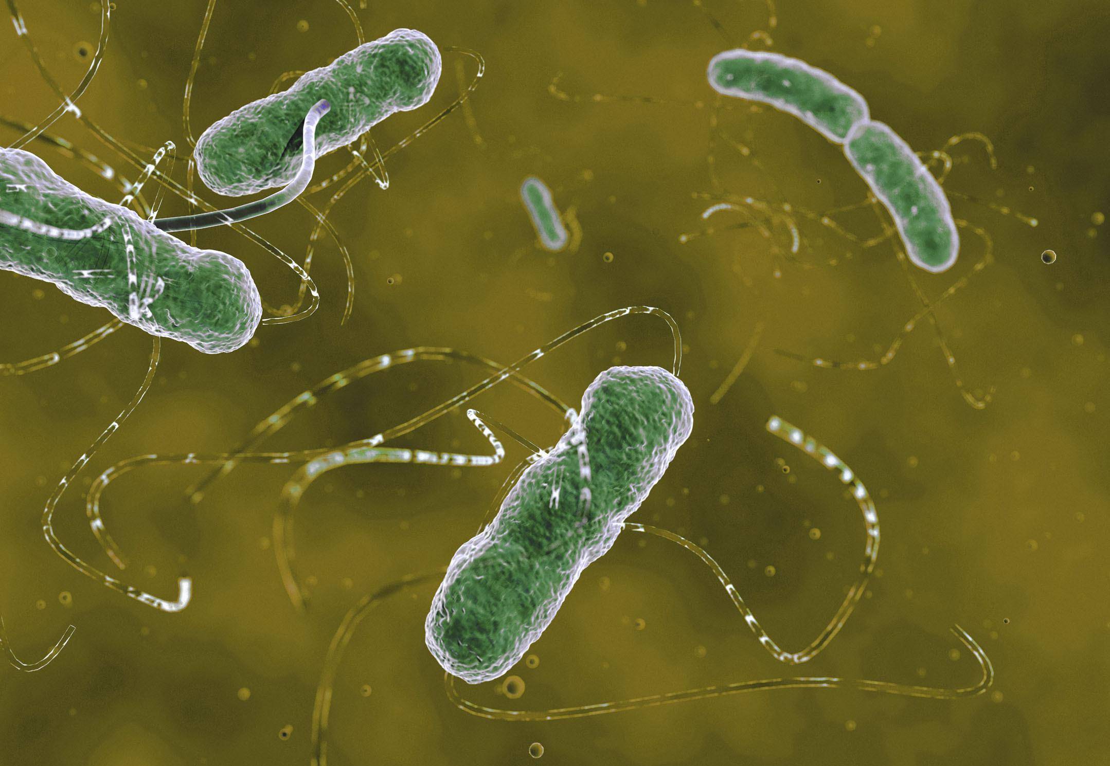 胃中感染幽门螺杆菌,一般会有"1臭,1疼"的迹象,若没中,祝贺_肠胃