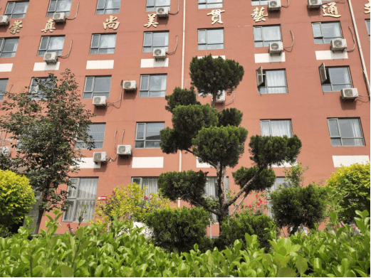 石家庄金石中学告诉您|高考防疫关键十条