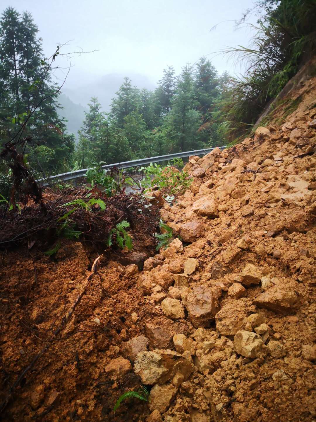 北京艺术家陈晓齐父女 浙江开化县山区遇塌方无法下山