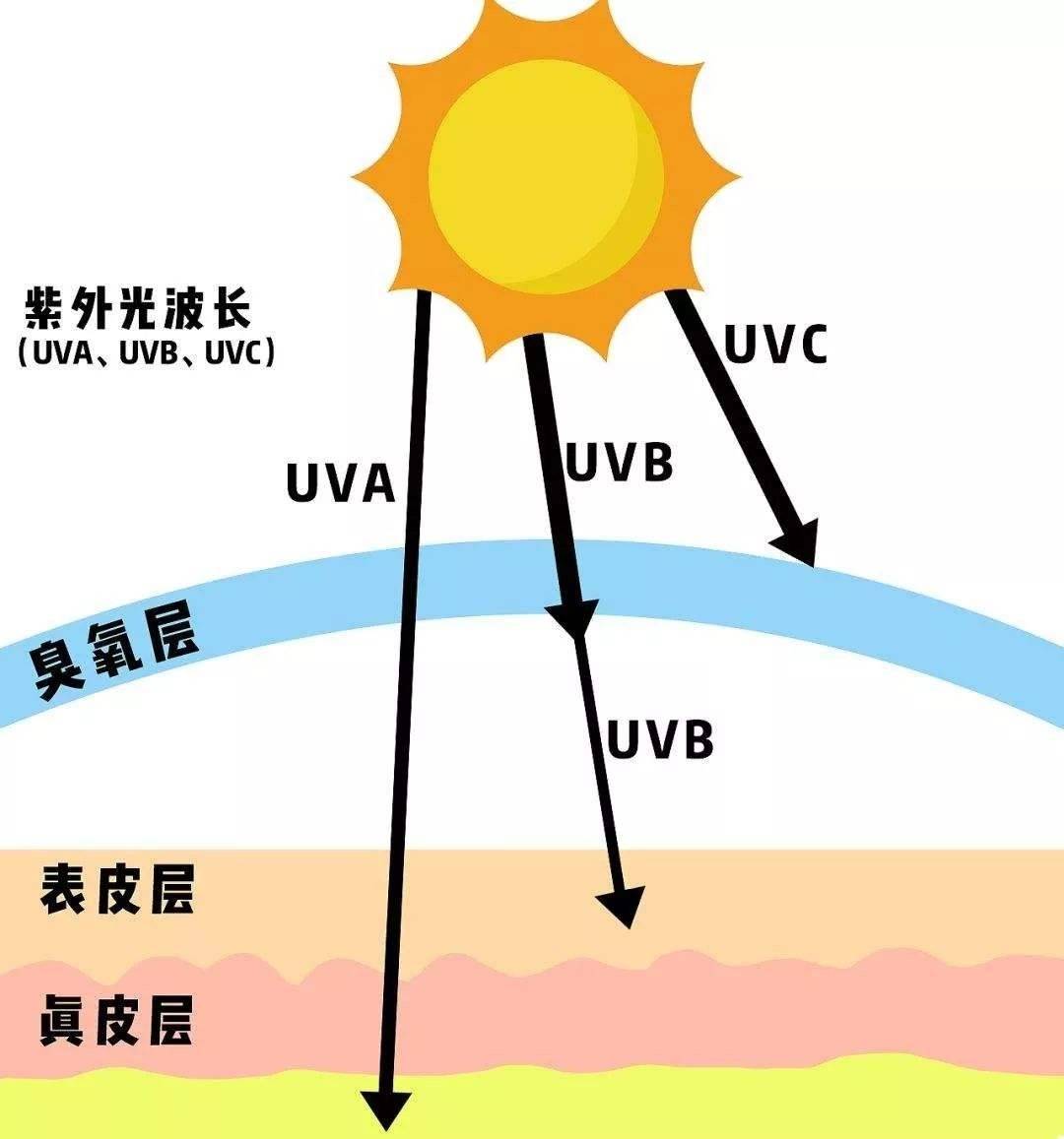 uva是波長320~400nm的紫外線