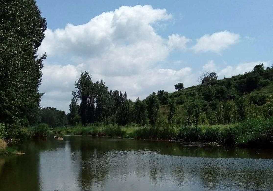 马莲河水库图片