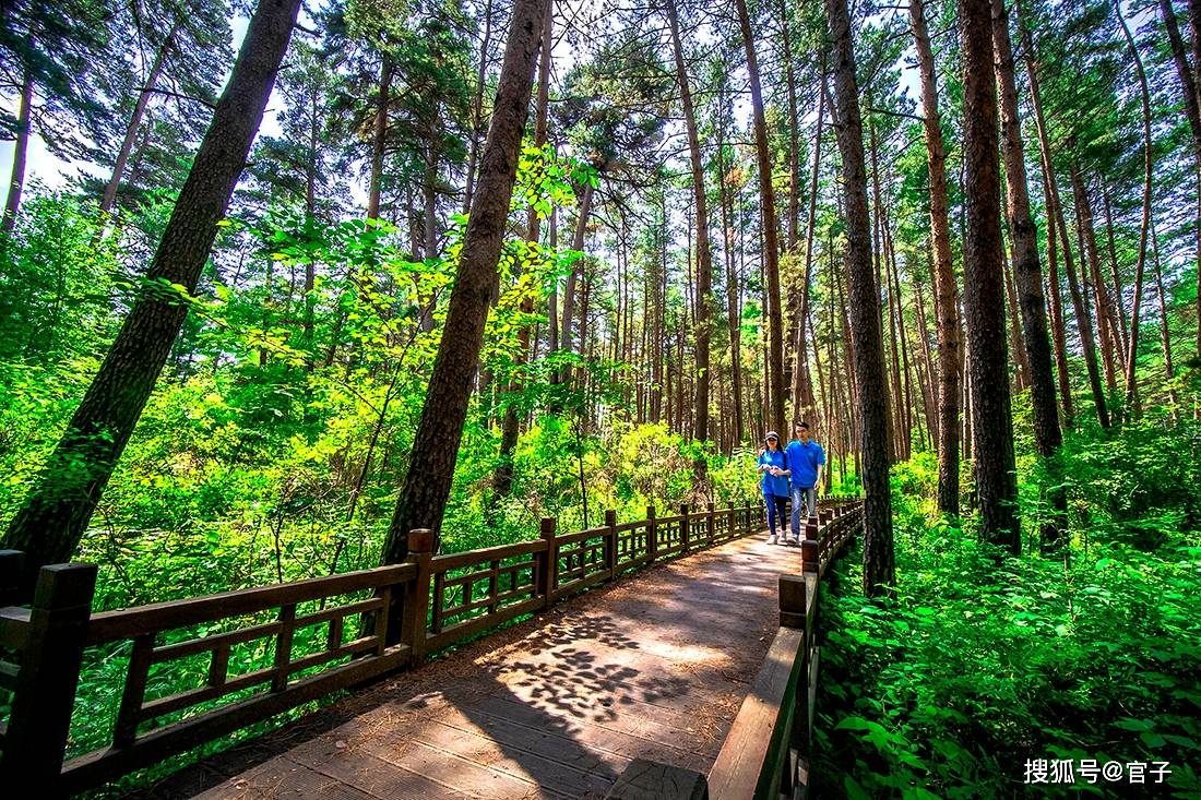 原创长白山北坡独有旅游奇观,一般游人都没享受过其怀抱,亭亭玉立它叫