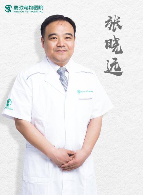 瑞派宠物医院领军专家团赋能智慧兽医