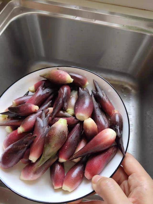 阳荷是一道天然的野菜,其实它更是一道不可错过的美食