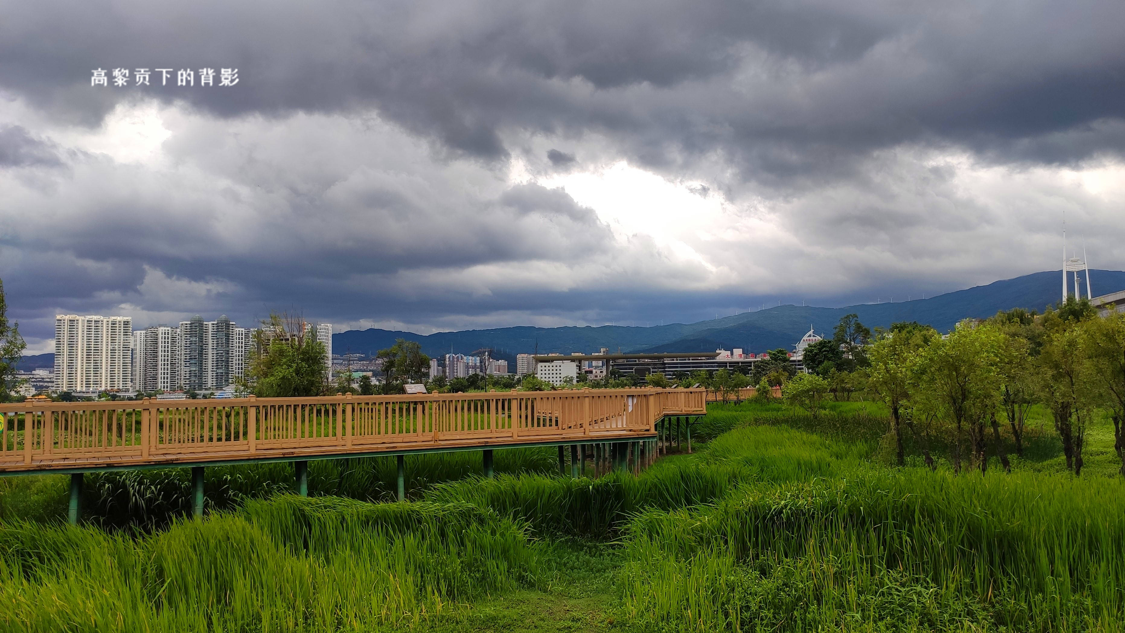 阴雨下,望苍山洱海别有景致,洱海月湿地公园掠影