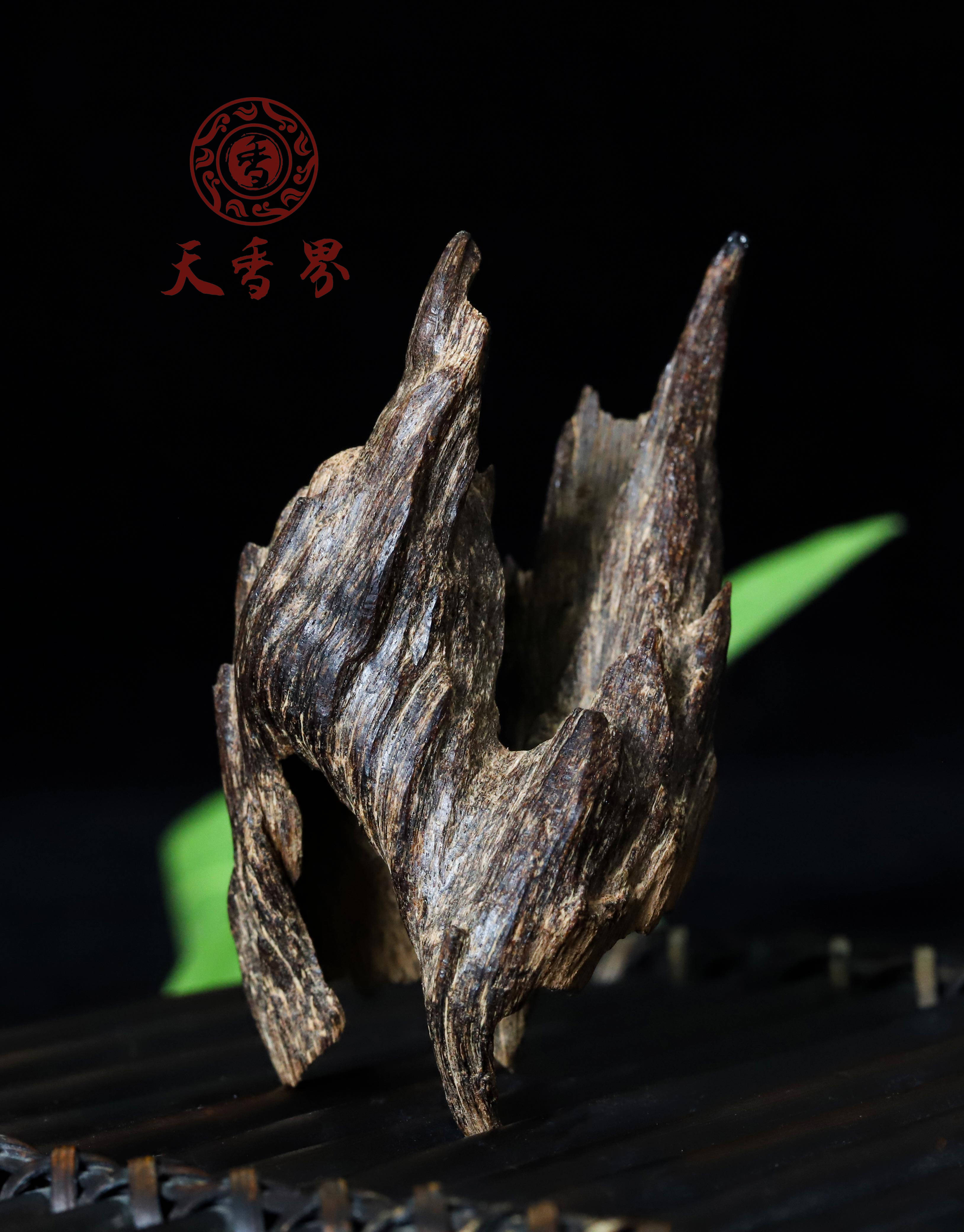 海南沉香的优异特性,无论用于熏香,泡茶,泡酒,提油和制药等,绝对是上