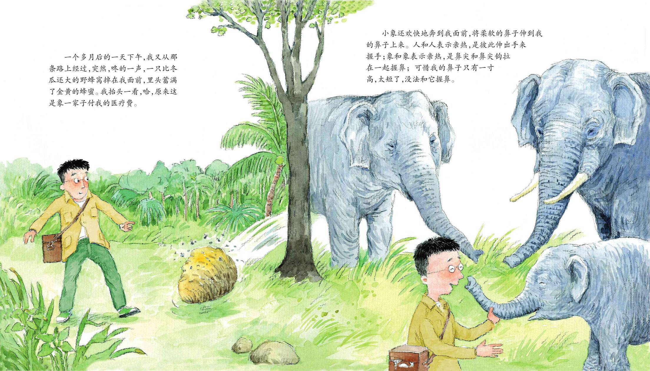 儿童绘本故事推荐《给大象拔刺》