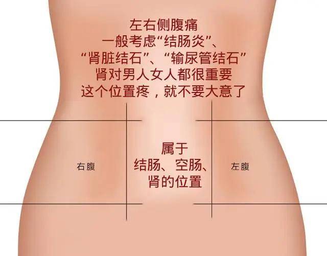 女性腹部疼痛图解图片