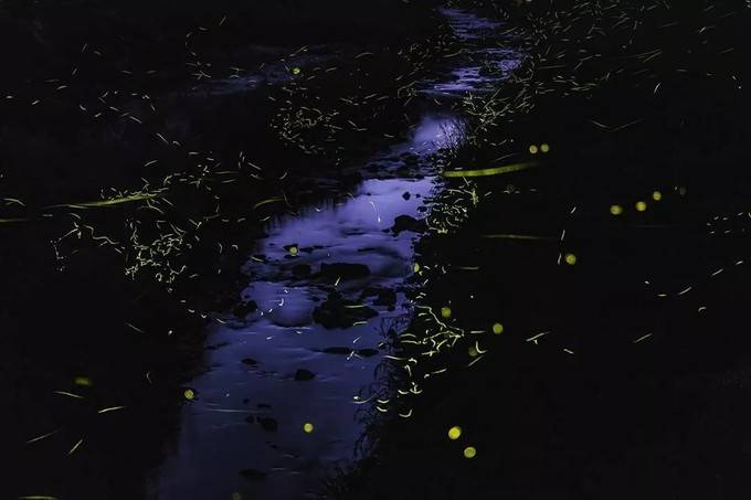 原创那个夏夜 静得什么也听不见|诗梦江南